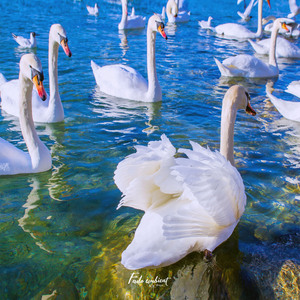 크고 작은 질환에 좋은 뇌파자극 음악 (코르티솔 감소)