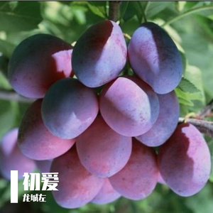 星空璀璨宛如钻石闪烁