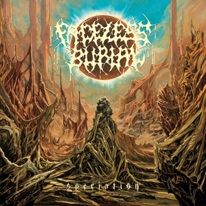 Speciation