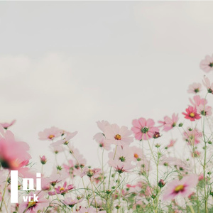 我们之间的默契，是绝口不提爱情