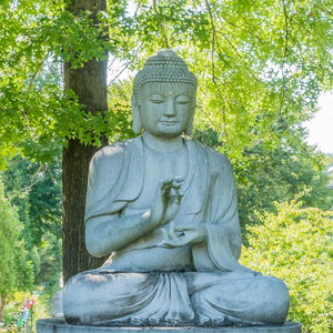 Peaceful Flute