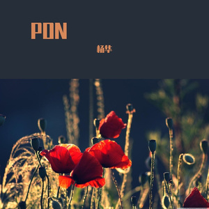 PON (5)