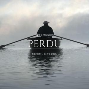 Perdu