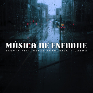 Salpicadura De Lluvia