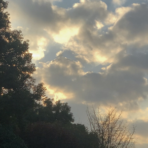 漠河舞厅·2022（女声完整版）