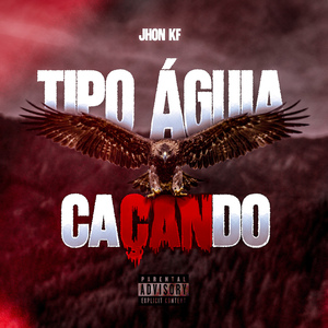 Tipo Águia Caçando