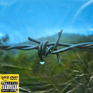 Fences