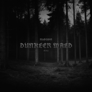 Dunkler Wald (Piano version)