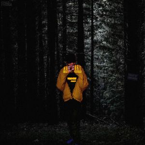 алюминиевое сердце ржавеет...