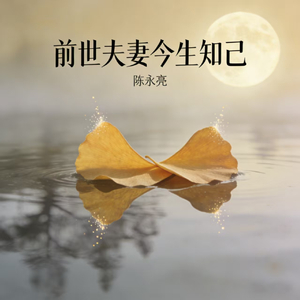 前世夫妻今生知己