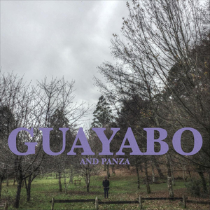 Guayabo