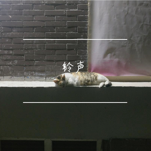 白安-[改编]是什么让我遇见这样的你（白安 remix）