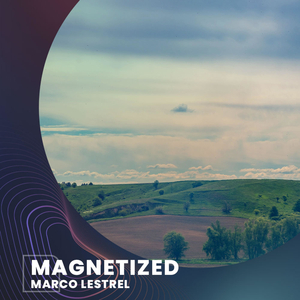 Magnetized