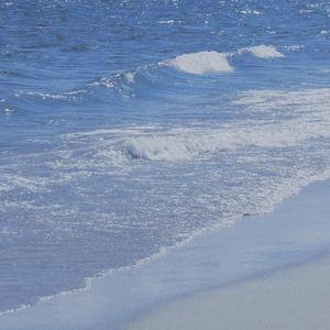 我是一只鱼（翻自 Kim.T）