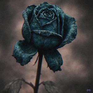 Blue Rose 2 (feat. Amin Mp)