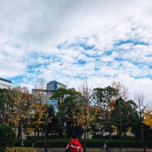 遇见你的熊猫-VE_浩