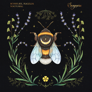 Nocturne (Extended Mix)