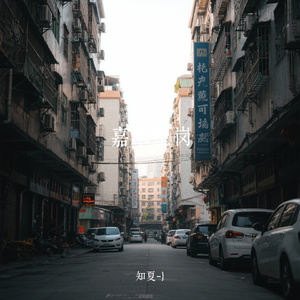 嘉禾望岗（Cover 海来阿木）