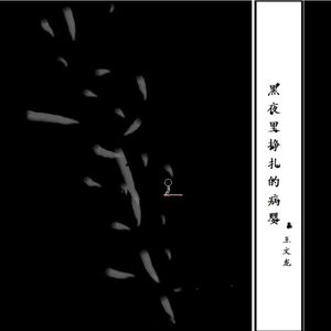 黑夜里挣扎的病婴