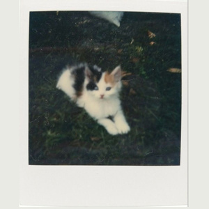 ต่อจากนี้จะมีแค่เธอกับฉัน (Demo)