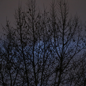 悲しみが足りない