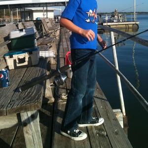 What Started the Music