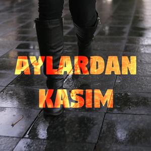 Aylardan Kasım