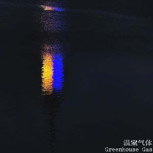 浪潮失语