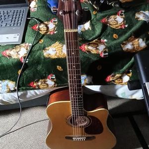 Still Blowing in the Wind