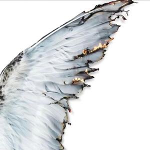 不会醒来的梦（cover张子豪）