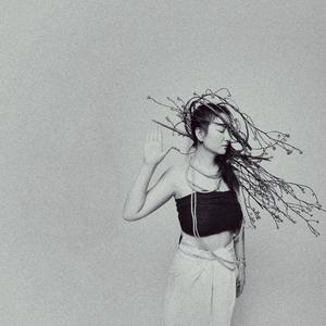 这片土地是神圣的