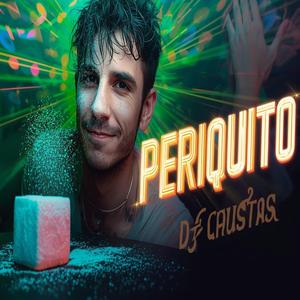 PERIQUITO (REMIX)