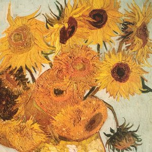 向日葵朝着夜.mp3