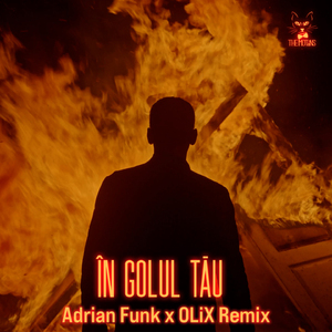 În Golul Tău (Adrian Funk x OLiX Remix)