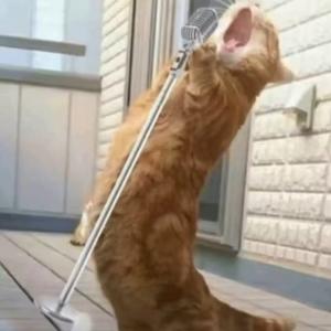 咩咩爱睡懒觉-倒反天罡（球头缔造者胡德禄 remix）