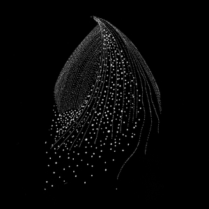 Fulgor (feat. Milagro Nadalino Rioja, Matias Mealla Zigarán, Ezequiel Ferrando Sason & Constanza Trucco)