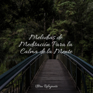 Himnos De La Pasión Por Los Viajes