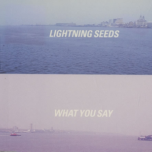 What You Say (7'' Version)