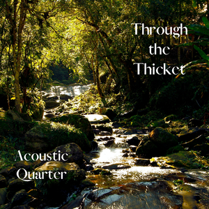 Storms Through the Thicket