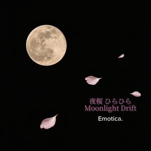 夜桜 ひらひら Moonlight Drift