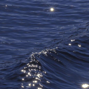 金玉良缘【抖音女生版】