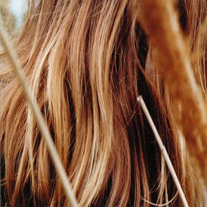 We Waved Goodbye and Stared