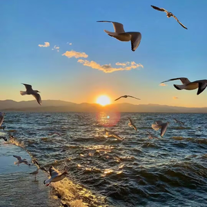 漂洋过海来看你