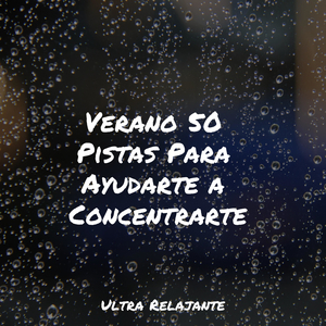 Tiempo Contigo