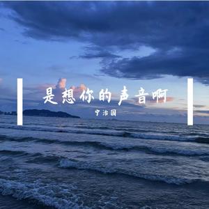 是想你的声音啊1.2x