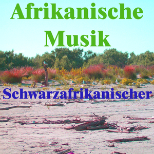 Afrikanische musik