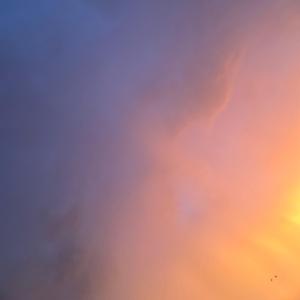 Always here | Version 1.0