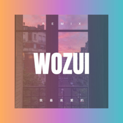 我会听话 (Remix)