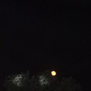 和你在一起（翻自 李志）