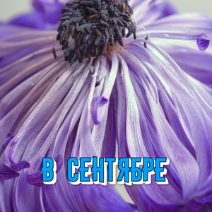 ДЛИНОЮ В ЖИЗНЬ